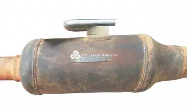 191ARP catalytic converter