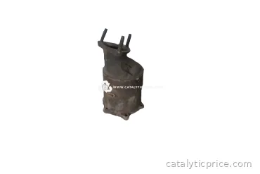 catalisador W44 D207A