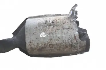 811ABP catalytic converter