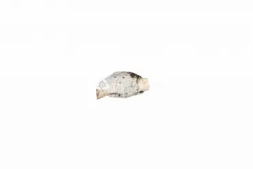 F65A 5G218 DG (PRE) catalytic converter