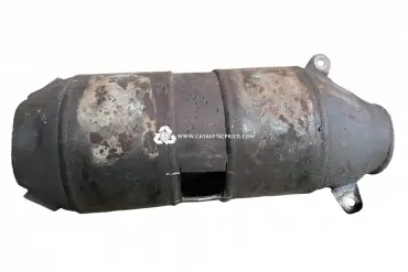 N43 A95998 / N43 D01153 catalytic converter