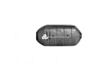 pot catalytique 2L24 NOC