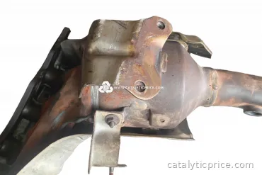 LF50 (Type 2) catalytic converter