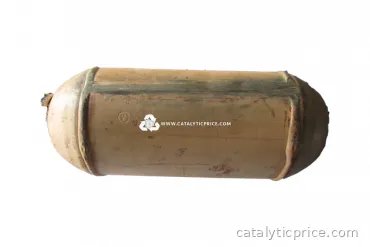 catalisador 24330-11000