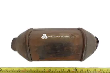 24310-11000 (III99) catalytic converter