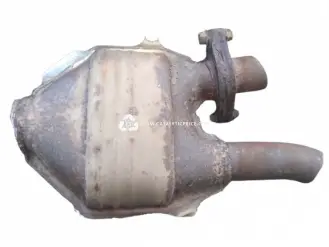 RCAE1 catalytic converter