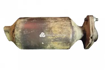 6CP--- Series catalytic converter