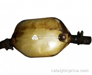 25101899 catalytic converter