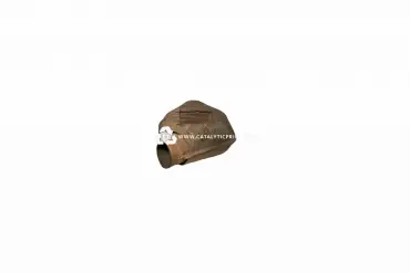 pot catalytique F75A 5E214 FF (PRE)