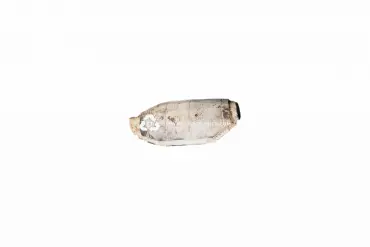 pot catalytique F65A 5E214 EG (REAR)