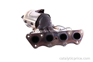 catalisador W2BEF1