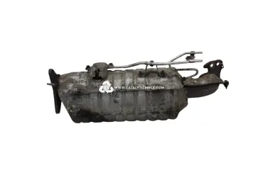 catalisador FCSD2