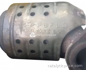 PBFL5 catalytic converter