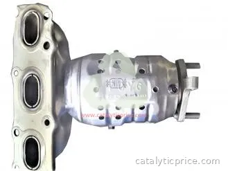 pot catalytique POYG