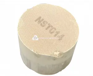 محوّل حفّاز NST014 Monolith