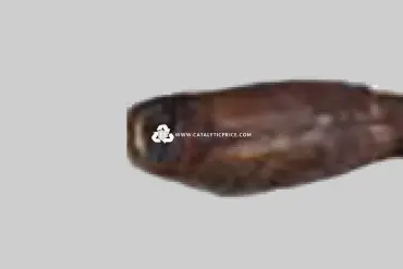 YL34 catalytic converter