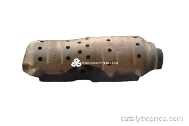 pot catalytique 2G263