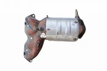 WLDQJ4009A catalytic converter