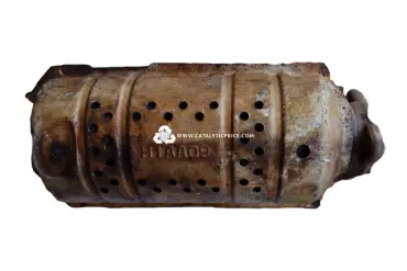 محوّل حفّاز H1(Powder)