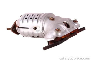 NF1N catalytic converter