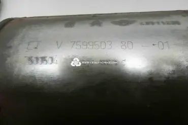 7599503 7599504 catalytic converter