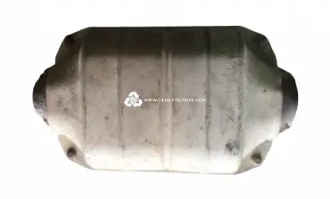 محوّل حفّاز 28964910 0110 (45%)