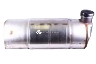 43111100062 catalytic converter
