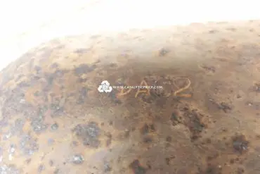 pot catalytique AC2