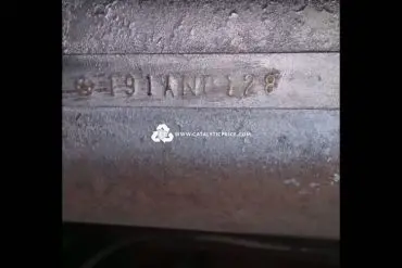 191ANP catalytic converter